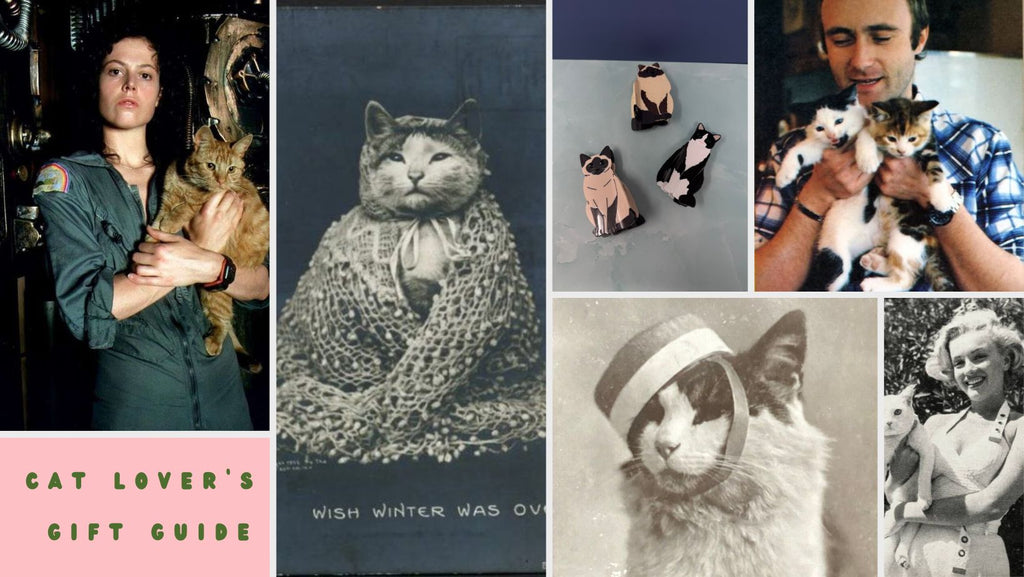 Cat Lover's Gift Guide