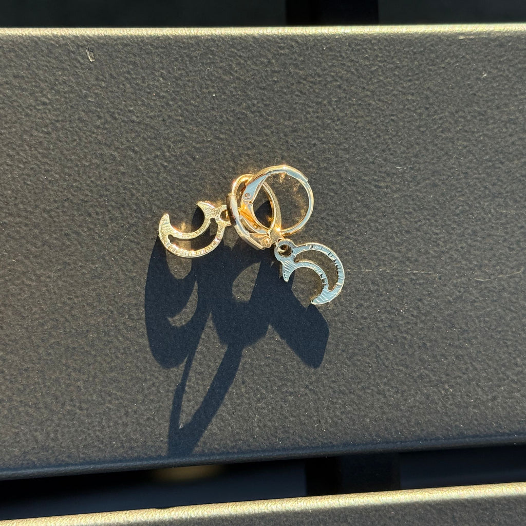 Mini Charm Hoop Earrings – Banana, Moon, Sunflower, Strawberry, Cactus & More