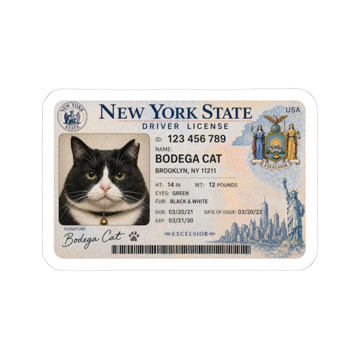 Bodega Cat Driver's License Sticker | Rainbow Unicorn Birthday Surprise