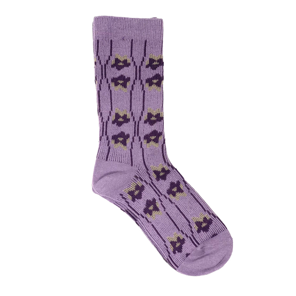 Barney Socks